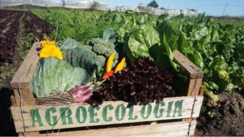 Read more about the article La revolución de la agroecología en la agricultura sostenible y la soberanía alimentaria.