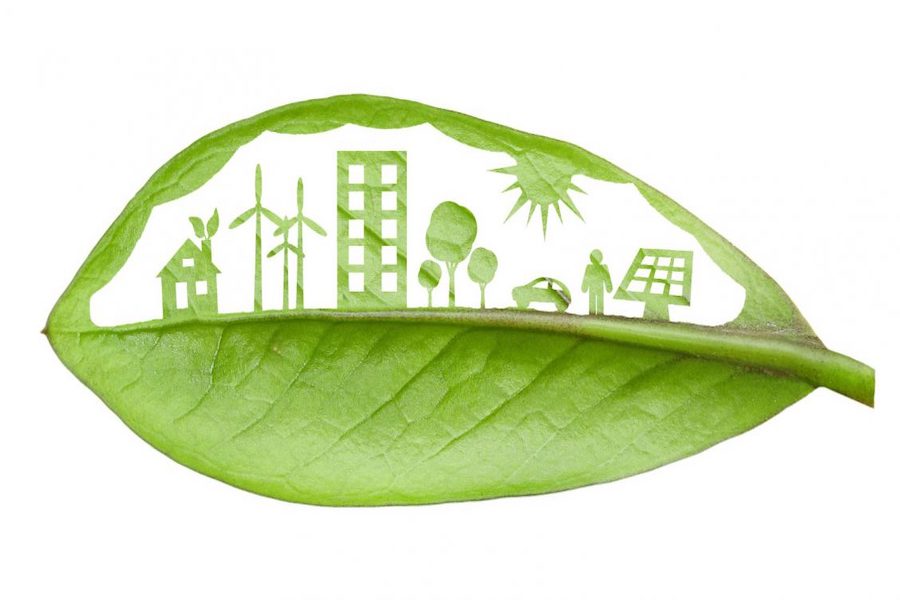 Read more about the article La importancia de la sostenibilidad en la industria de la construcción y el desarrollo de edificios ecológicos.